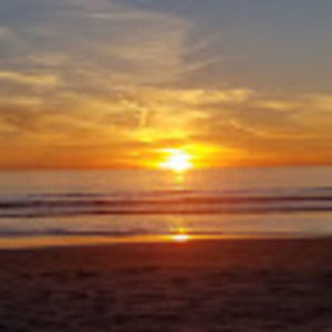 Meet your Posher, Rochelle